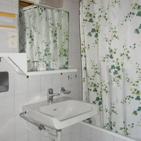 Bellevue Baeren & Restaurant Krattigen