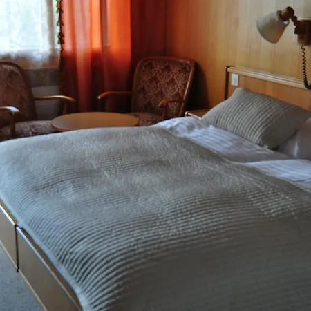 Bellevue Baeren & Restaurant 3*