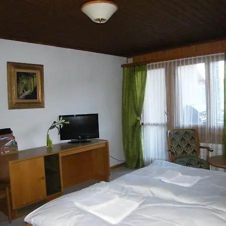 Bellevue Baeren & Restaurant Szálloda 3*