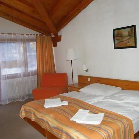 Szálloda Bellevue Baeren & Restaurant 3*