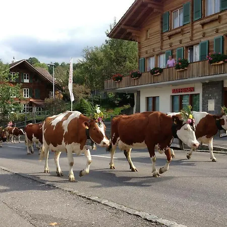 Bellevue Baeren & Restaurant 3* Krattigen