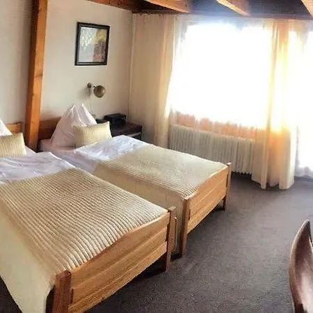 Bellevue Baeren & Restaurant Krattigen