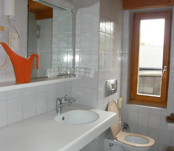 Bellevue Baeren & Restaurant Krattigen