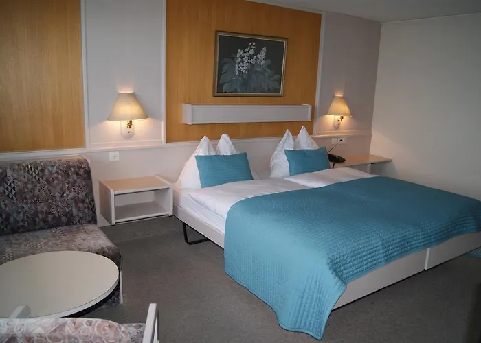 Bellevue Baeren & Restaurant Hotel