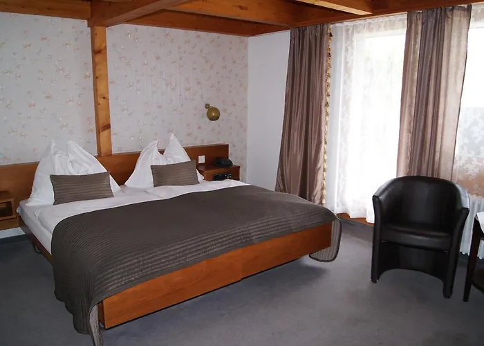 Bellevue Baeren & Restaurant Krattigen