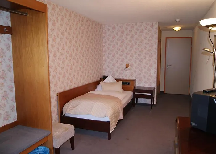 Hotel Bellevue Baeren & Restaurant 3*