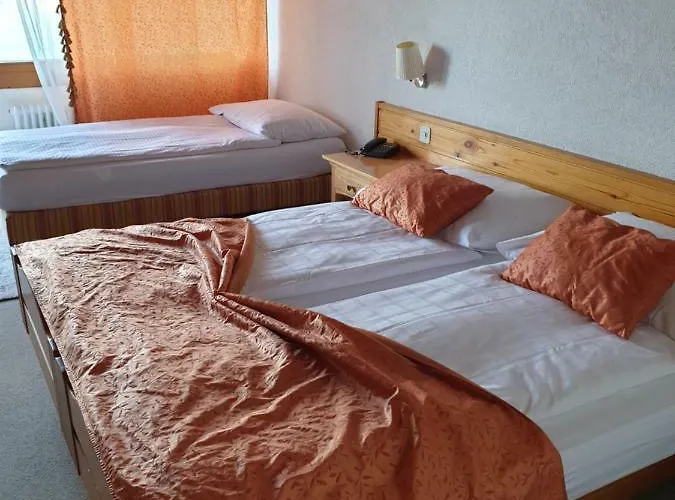 Hotel Bellevue Baeren & Restaurant 3*