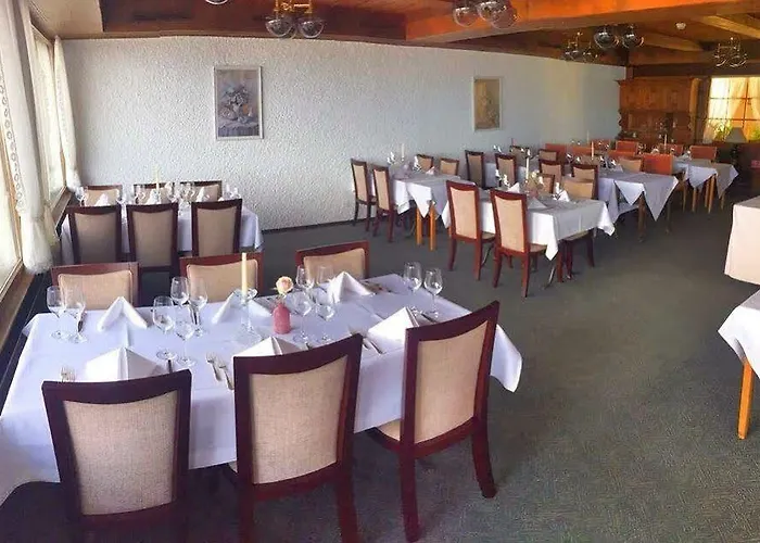 Hotel Bellevue Baeren & Restaurant