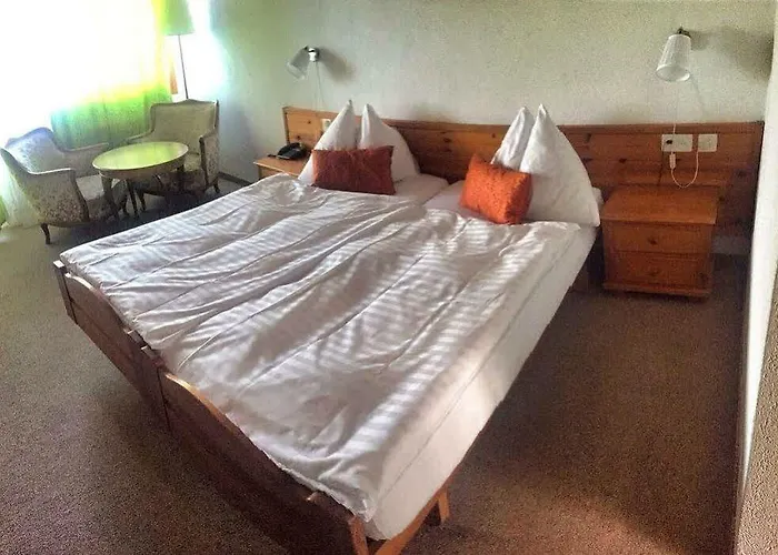 Bellevue Baeren & Restaurant Hotel