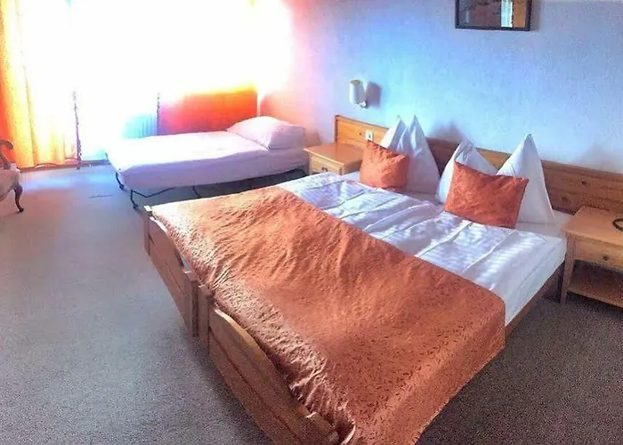 Bellevue Baeren & Restaurant Hotel 3*