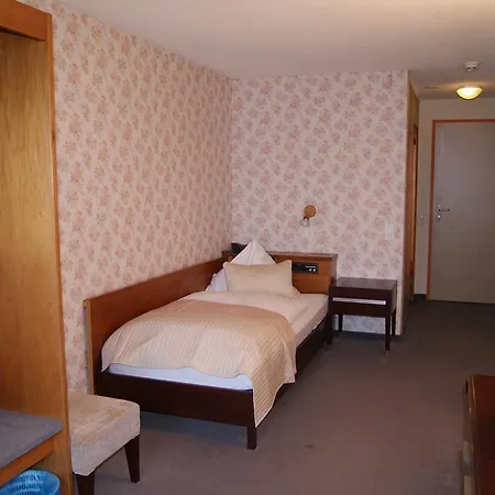 فندق Bellevue Baeren & Restaurant 3*