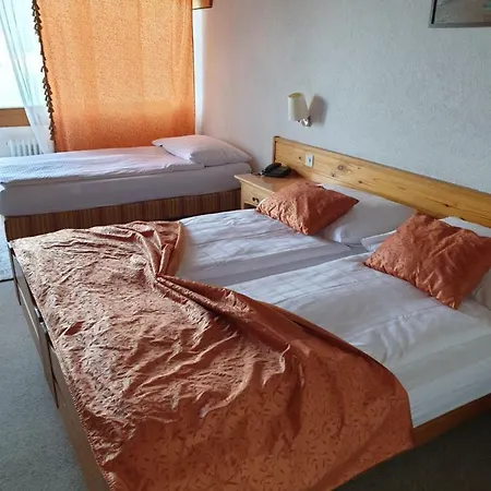 Szálloda Bellevue Baeren & Restaurant 3*
