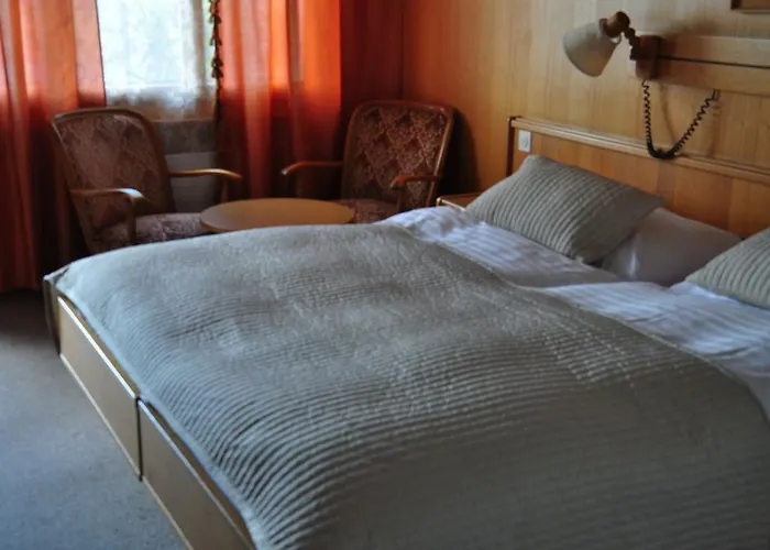 Bellevue Baeren & Restaurant 3*