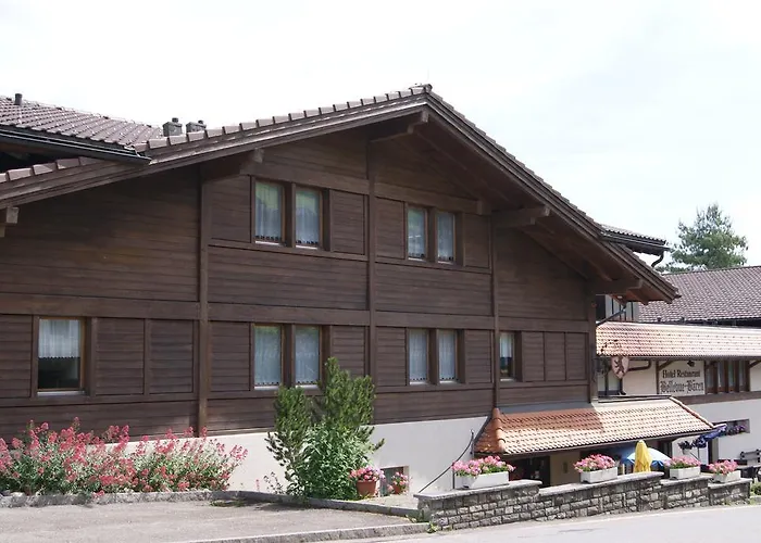 Bellevue Baeren & Restaurant Hotel 3*