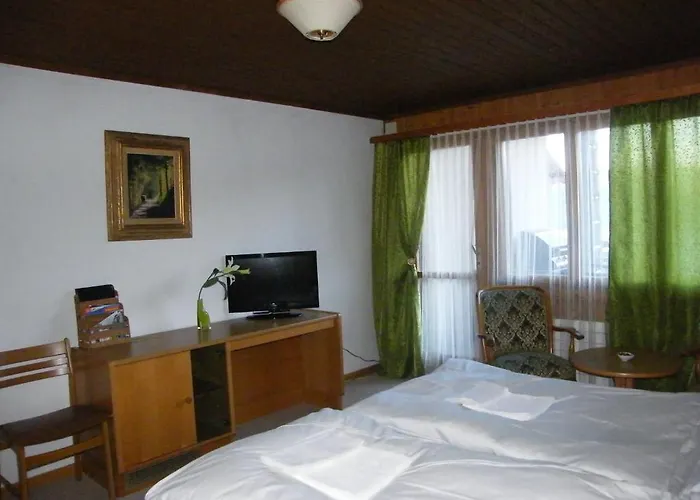 Bellevue Baeren & Restaurant Hotel 3*