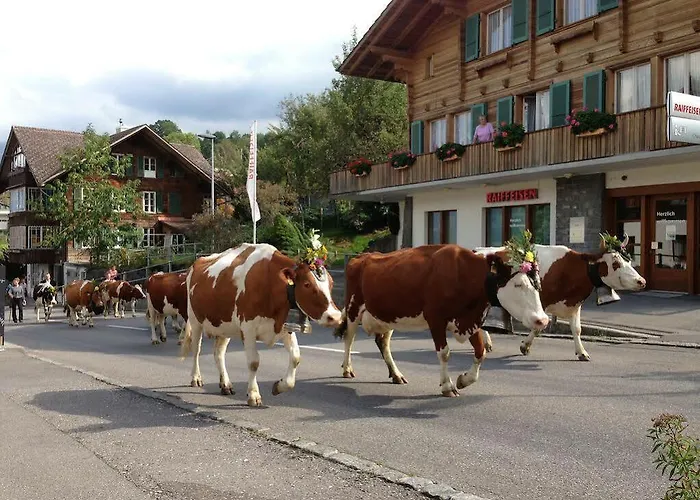 Bellevue Baeren & Restaurant 3* Krattigen