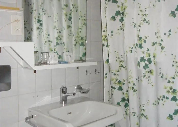 Bellevue Baeren & Restaurant Krattigen